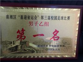 蒸湘区“喜迎省运会”第三届校园足球比赛男子