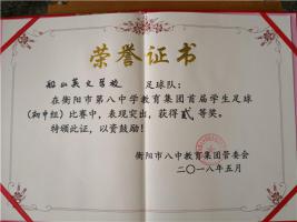 在衡阳市第八中学教育集团首届学生足球（初中）