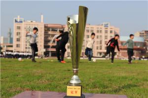 2018年衡阳市“鑫悦杯”足球赛冠军