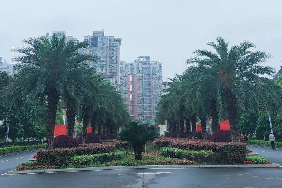 校园风景