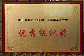 2018衡阳市“e直踢”足球精英夏令营优秀组织奖