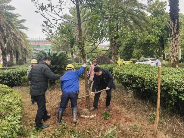 春种一树希望，手植满园芬芳——衡阳市第二十中学（船山英文学校）开展劳动实践教育活动