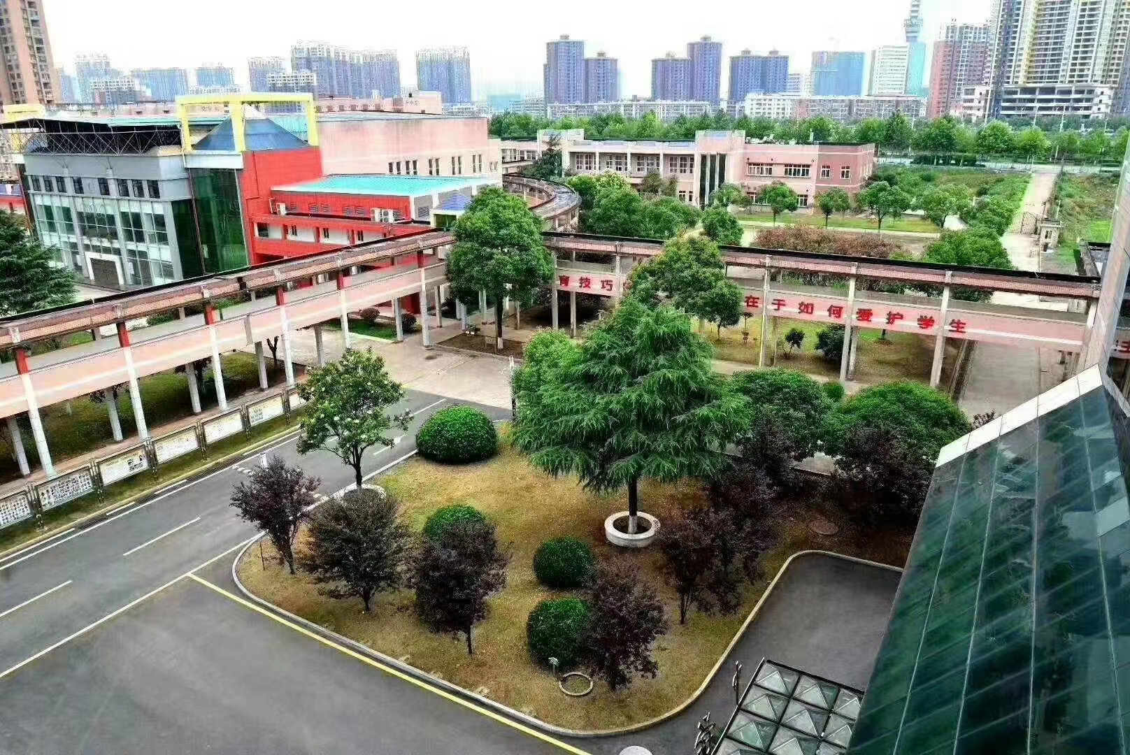 感恩船英 让梦想成真