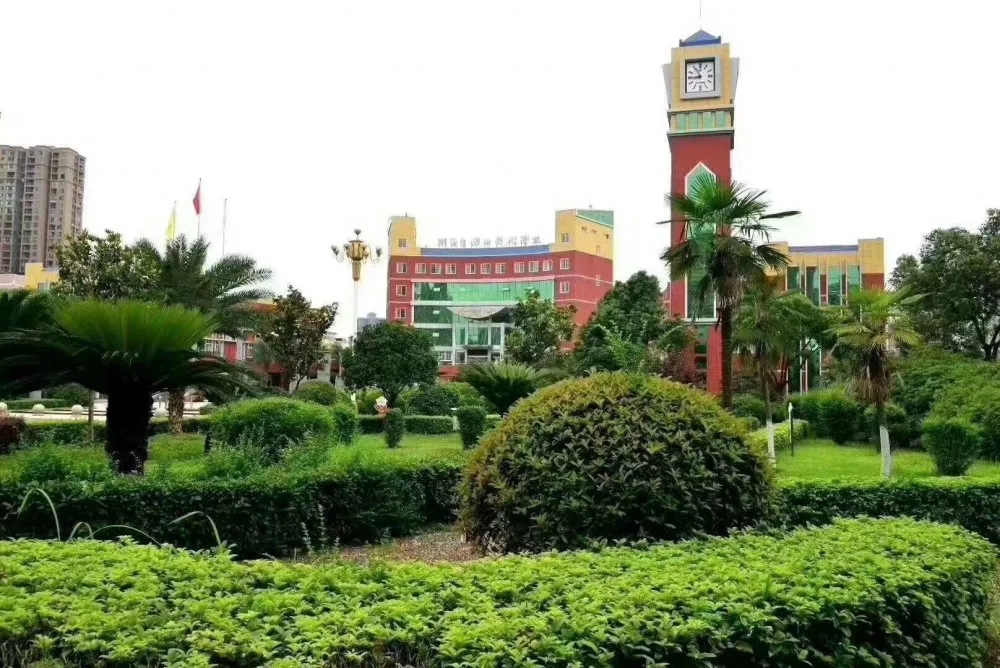 　展科技成果，现船英风采——衡阳市船山英文学校(衡阳市第二十中学)成功承办衡阳市2020年全国科普日活动