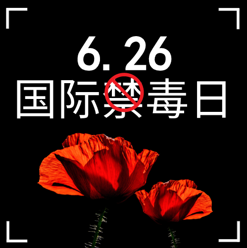 1602567610429626.png 1.png