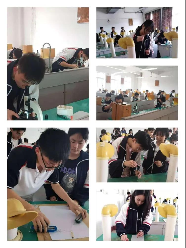 茫茫学海路，今朝试竞帆——我校成功举行2020年普通高中学业水平考试考查