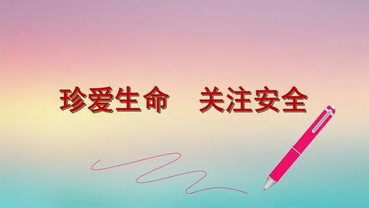 安全伴我在校园，我把安全带回家——衡阳市船山英文学校开展安全教育主题班会