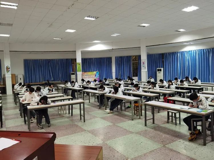 思维在数学的田野里拔节