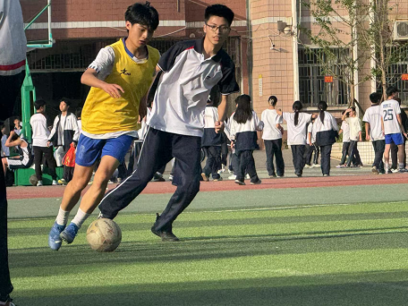 1746001303120597.png image.png