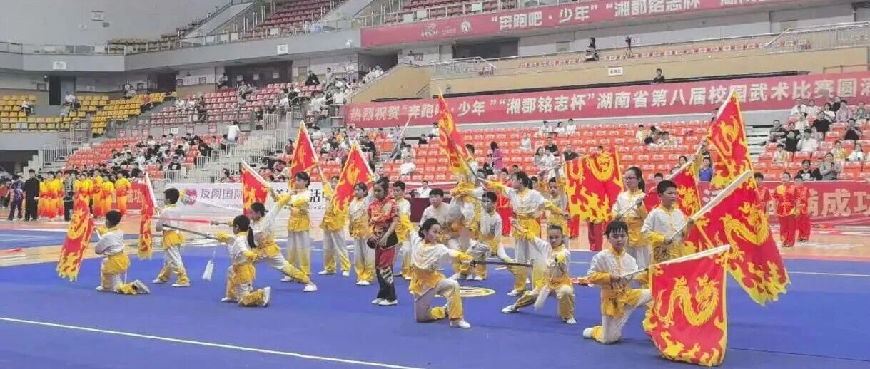 佳音频传丨我校荣获湖南省第八届校园武术比赛中小学组三等奖！