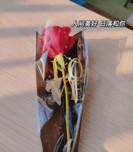 祝你们幸福，像花儿一样——船山英文学校祝所有女神节日快乐